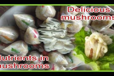 Nutrients mushrooms healthy recipes# cooking #foods,#Delicious mushrooms