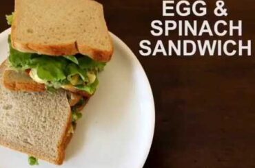 Healthy Egg Spinach Sandwich Recipe || Easy and healthy spinach egg sandwich recipe #sandwichrecipes