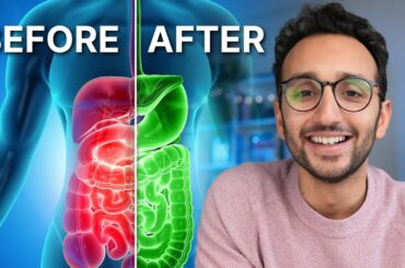 The Science of Gut Health (& Why It Matters)