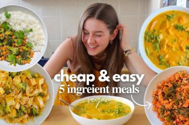 Realistic 5 ingredient recipes Anyone Can Make! ( healthy + cheap + vegan )