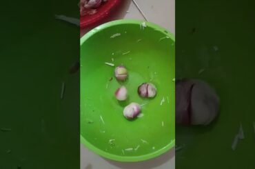 keto friendly stirfried vegetable (cabbage, scallions)