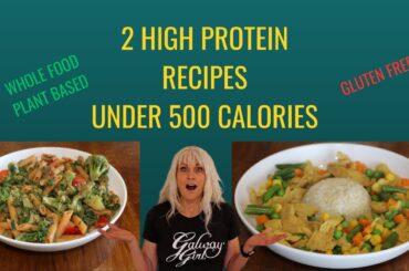 2 High Protein Recipes Under 500 Calories / WFPB