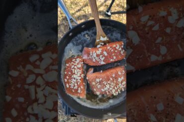 Salmon & Veggie Bliss |Healthy Recipes|  #healthyfood #ytshorts #shortsfeed #food #youtubeshorts