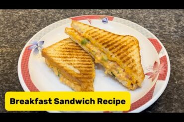 Yummy Breakfast Sandwich Recipe | Healthy Vegetable Egg Sandwich Recipe