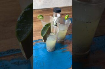 Aloe Vera Juice | Natural Health Booster #shorts #aloevera #aloeverajuice #aloeveradrink #healthy