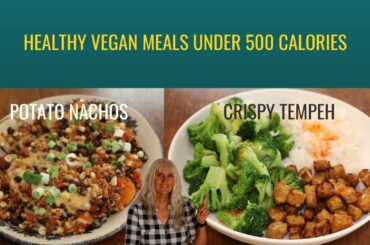 Healthy Vegan Meals Under 500 Calories / Easy To Make