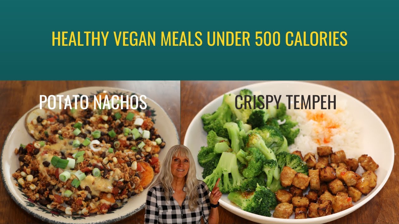 Healthy Vegan Meals Under 500 Calories / Easy To Make Healthy Vegan Meals Under 500 Calories / Easy To Make