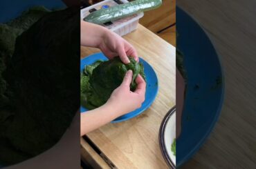 Recipe in the comments #shorts #healthy #spinach