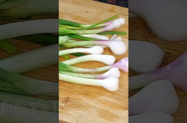 #spring #onion #spinach #besan #chilla #healthy #breakfast #recipe #youtubeshorts #viral #ytshorts