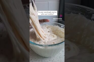 How do you know if your sourdough is healthy? #sourdough #sourdoughstarter #wildyeast #homebaker