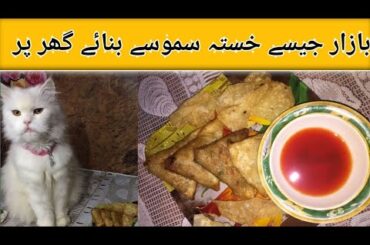 Crispy chicken samosa recipe #chicken samosa#easy #recipes