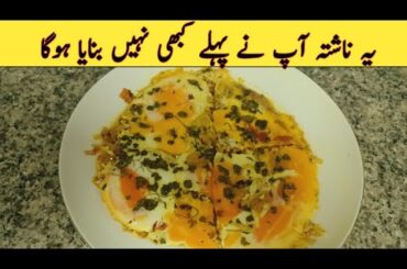 Egg Omelette By Homemade Kitchen | Easy Breakfast Recipes | Fluffy Omlette | Healthy Breakfast