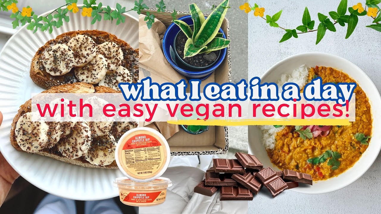 Vegan What I Eat in a Day! Healthy Meals, Trader Joe’s, and easy Flower Bouquets Vegan What I Eat in a Day! Healthy Meals, Trader Joe's, and easy Flower Bouquets