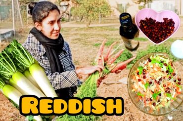 Sweet redishes cooking | healthy Salad Recipe