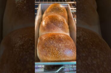 Soft and healthy sandwich bread SAVE this easy recipe