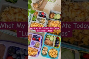 Feeding 11 Kids: Healthy & Simple Lunch Box Ideas