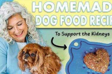 Dr. Judy's Kidney Support Recipe for Dogs