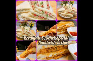 The Perfect Best Of Sehri Healthy Sandwich Recipe | Cold Sandwich Recipe | Ramadan Special#sandwich