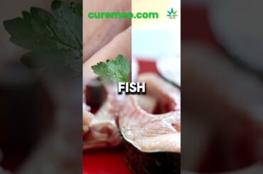 Best Low Calorie High Protein Foods for Weight Loss