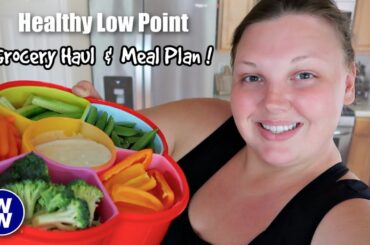 HEALTHY LOW POINT MEALS! Weekly Grocery Haul and MEAL PLAN for WEIGHT LOSS! Weight Watchers 2024
