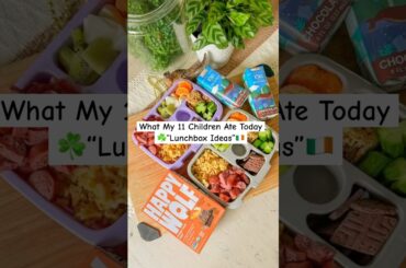 Feeding 11 Kids: Healthy & Simple Lunch Box Ideas