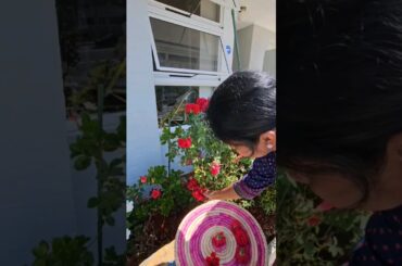 Rose milk Summer special #subscribe#Drink #healthy#food#cooking#tasty#delicious#easy#youtubeshorts