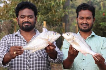 Spicy & Tasty Fish Recipe || Sea Fish curry || Healthy Sea food || Korukkai Fish Recipe