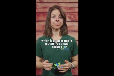 Discover the goodness of millet with these nutritious recipes. #LivingSpringsRetreat