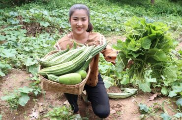 Delicious and healthy food cooking - Free and fresh vegetable in my farm - Amazing cooking video