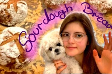 Healthy Sourdough Bread Recipe / with Potato, Spelt, Rye