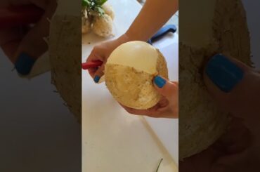 JICAMA | SINGKAMAS #fruitcutting#food#healthy#vegetables#youtubeshorts#trending