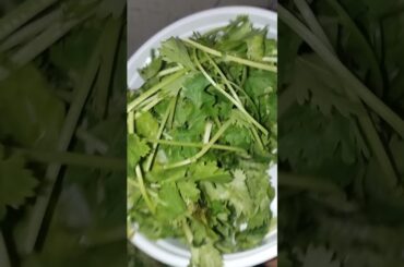 Pudina chutney #Mint chutney recipe #cooking #trending #food #youtubeshort #healthy #testy #shorts