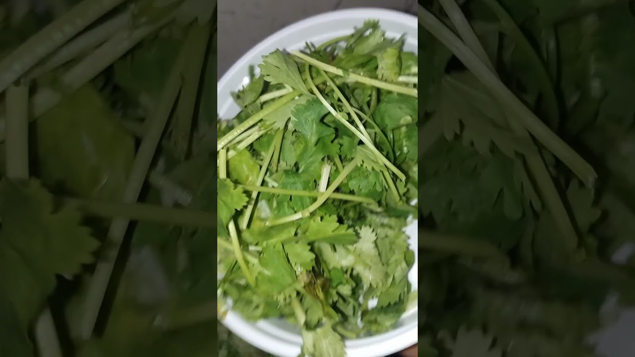 Pudina chutney #Mint chutney recipe #cooking #trending #food #youtubeshort #healthy #testy #shorts Pudina chutney #Mint chutney recipe #cooking #trending #food #youtubeshort #healthy #testy #shorts