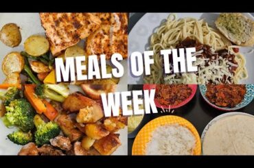 Budget friendly meals of the week | Healthy, quick, frugal food | Family of four UK