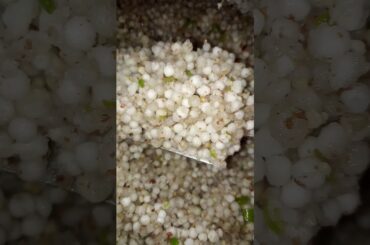 Sago Recipe#music#song#indianfood#viral#food#sabudanakhichdi#sabudana#2024#healthy#cooking#ytshorts