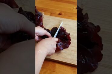 what to make for dinner vegetarian, easy tofu recipes for beginners