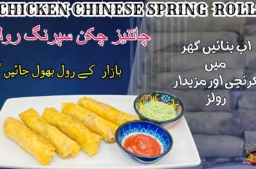 How To Make Chicken Spring Rolls - Make and Freeze Recipe -Chinese Spring Rolls - Ramadan Special