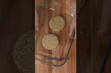 Healthy Snack Recipe