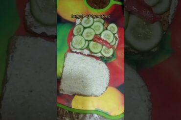 Make your Breakfast Healthy and yummy with me. Low calorie sandwich with lots of protein