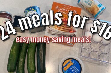 24 Meals For $16 |  Simple Ingredient Budget Friendly Vegetarian Meals | Eat Healthy For Cheap