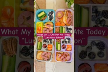 Feeding 11 Kids: Healthy & Simple Lunch Box Ideas