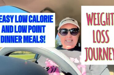3 EASY LOW CALORIE, LOW POINT, HEALTHY DINNER RECIPES / WEIGHT LOSS JOURNEY