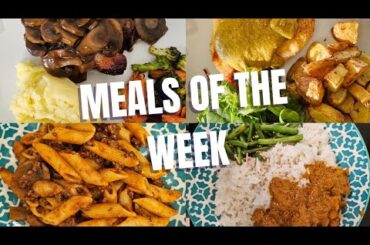 Meals of the week | Healthy family food | Budget friendly