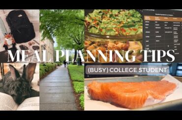 meal planning tips for BUSY college students + healthy dinner idea