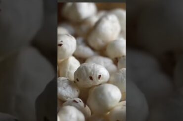 Makhana Healthy Snacks Recipes / Makhana wholesalers in bihar #foxnut #shots #makhanakheer