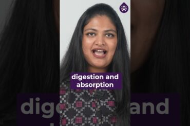 Salad Before Meals | @besugarfit