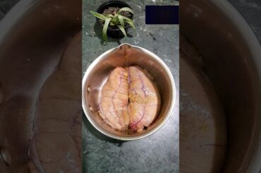 Katla macher dimer bora| easiest recipe | yummy #youtubeshorts #reels #healthy #viral