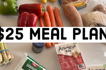 $25 Meal Plan | Eating Healthy on a Low Grocery Budget | Easy Meals High Protein + Tons of Veggies!