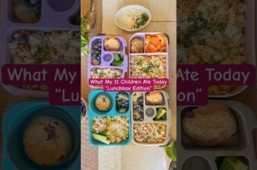 Feeding My 11 Kids: Healthy & Simple Lunch Box Ideas
