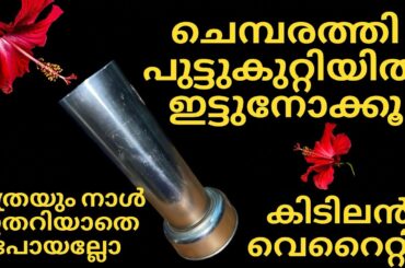 Kerala breakfast/puttu recipe malayalam/healthy breakfast ideas malayalam